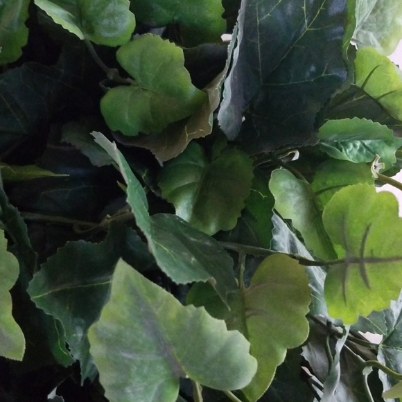 Faux Plant - Picture 2 of 3